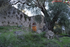 Castelul Gardiki Insula Corfu 07