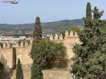 Castelul Gibralfaro din Malaga 59