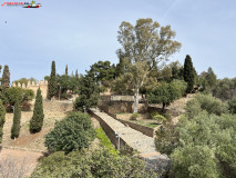 Castelul Gibralfaro din Malaga 63
