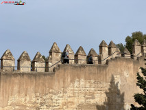 Castelul Gibralfaro din Malaga 73