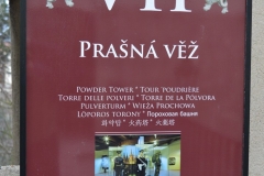 Castelul Praga Cehia 57