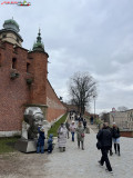 Castelul Wawel din Cracovia 01