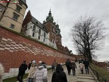 Castelul Wawel din Cracovia 05