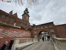 Castelul Wawel din Cracovia 09