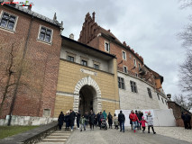 Castelul Wawel din Cracovia 11