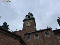 Castelul Wawel din Cracovia 13