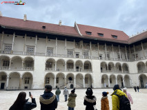 Castelul Wawel din Cracovia 18