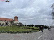 Castelul Wawel din Cracovia 51