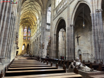 Catedrala Sfântului Vit din Praga aprilie 2023 10