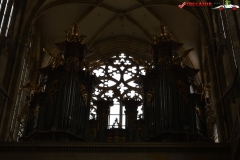 Catedrala Sfantul Vitus din Praga Cehia 144