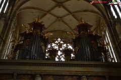 Catedrala Sfantul Vitus din Praga Cehia 76
