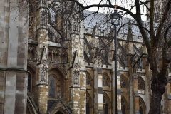 Catedrala Westminster London 14