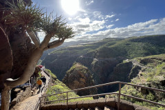 Cenobio de Valerón, Gran Canaria 37