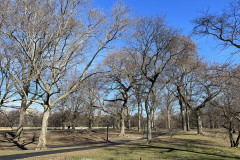 Central Park, New York 102