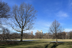 Central Park, New York 108