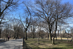 Central Park, New York 109