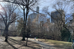Central Park, New York 11