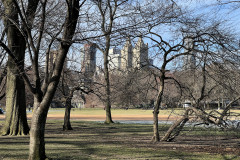Central Park, New York 110