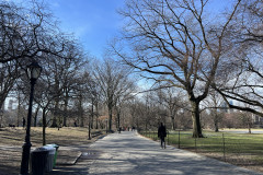 Central Park, New York 111