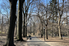 Central Park, New York 117