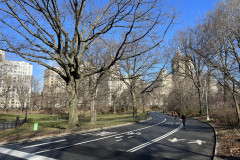 Central Park, New York 119