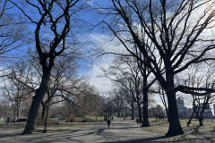 Central Park, New York 134