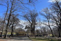 Central Park, New York 135