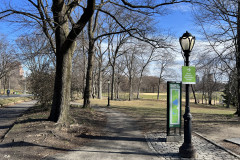 Central Park, New York 138