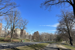 Central Park, New York 139
