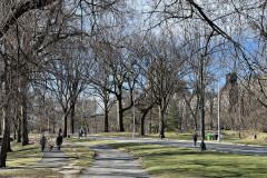 Central Park, New York 141
