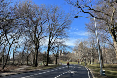Central Park, New York 143
