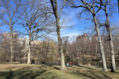 Central Park, New York 144
