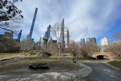 Central Park, New York 16