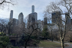 Central Park, New York 23