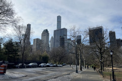 Central Park, New York 29