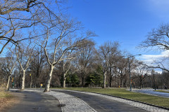 Central Park, New York 30