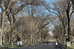 Central Park, New York 41