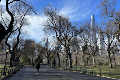 Central Park, New York 46