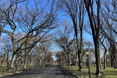 Central Park, New York 49