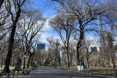 Central Park, New York 50