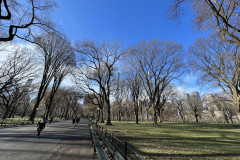 Central Park, New York 51