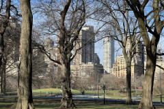 Central Park, New York 52