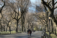 Central Park, New York 53