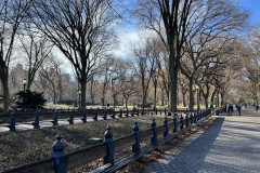 Central Park, New York 55