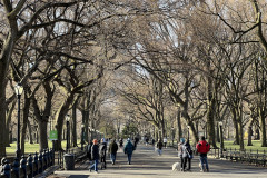 Central Park, New York 57