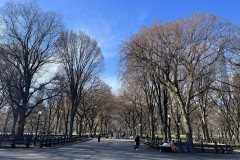 Central Park, New York 59