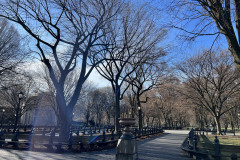 Central Park, New York 61