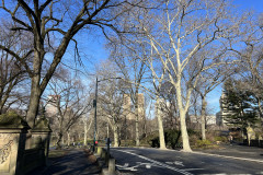 Central Park, New York 63