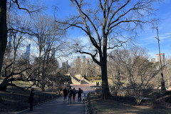 Central Park, New York 86