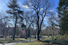 Central Park, New York 87